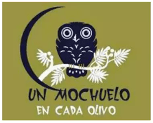 Cada mochuelo a su olivo 2