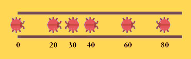 Carrera de insectos 1