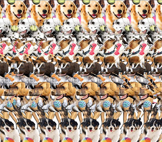 Perros estereograma 3d magiceye 1