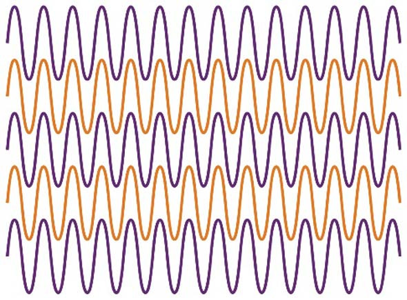 Efecto optico de kitaoka 1