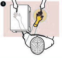 Enganando al cerebro 4