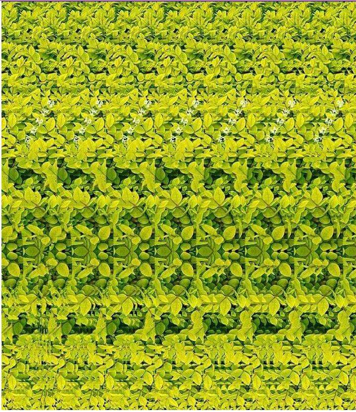 Estereograma magic eye 3d 1