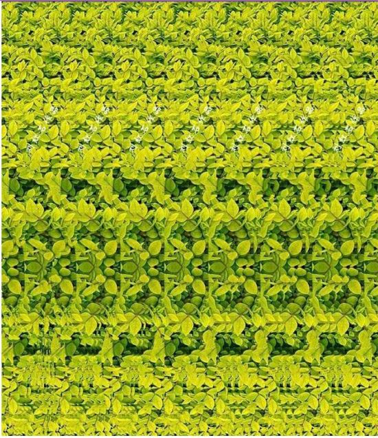 Estereograma magic eye 3d 2