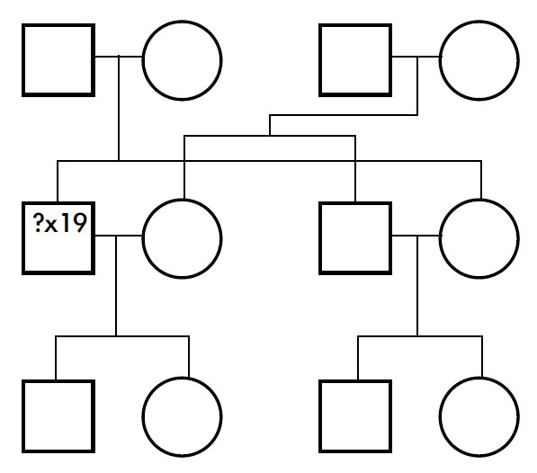 Genetica y numeros acertijo 1