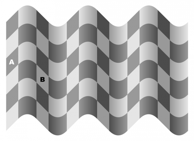 Ilusion optica de la casilla de ajedrez nueva version 1