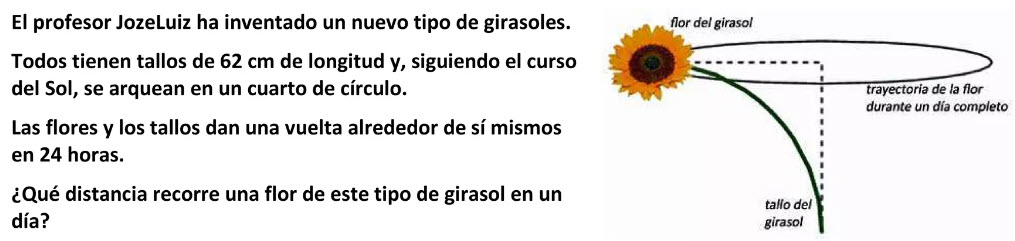 Las vueltas del girasol 1