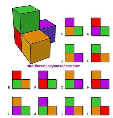 Puzzle 3d 1