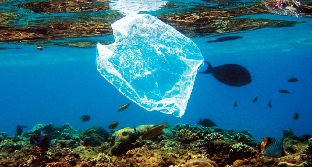 Curiosidades australia reduce el consumo del 80 de bolsas de plastico en solo tres meses 1