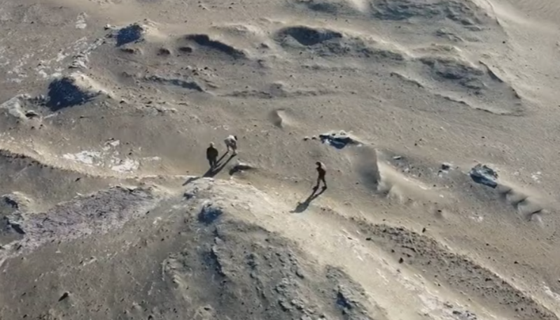 Investigacion el antepasado titanico de las ballenas 4
