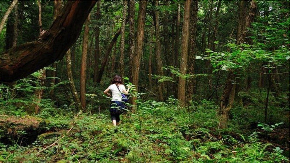 Sociedad el bosque de los suicidas 2