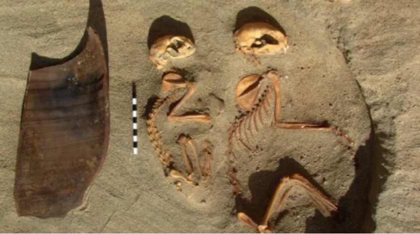 El cementerio de mascotas más antiguo