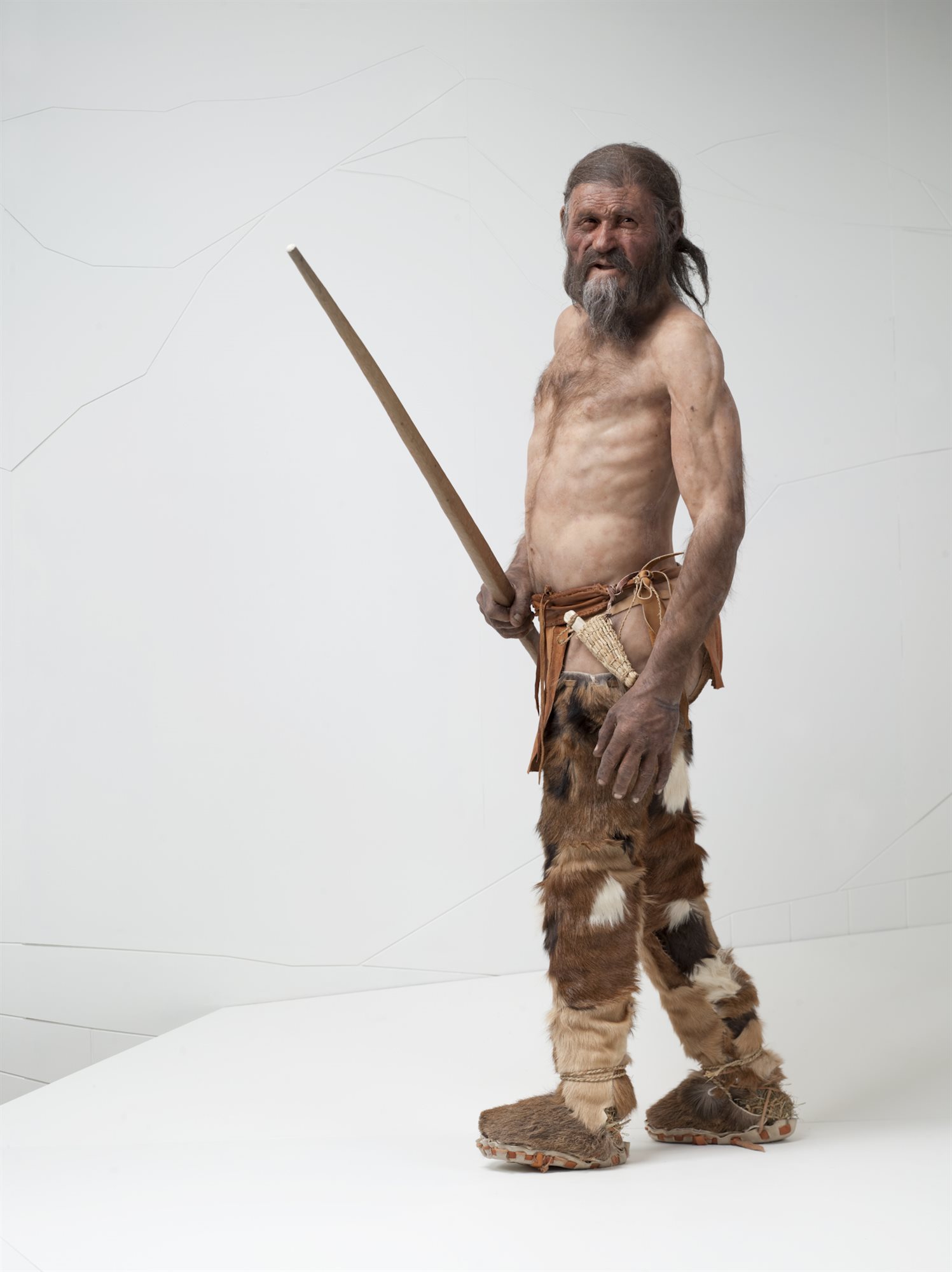 Investigacion el curioso caso de la momia de otzi 4