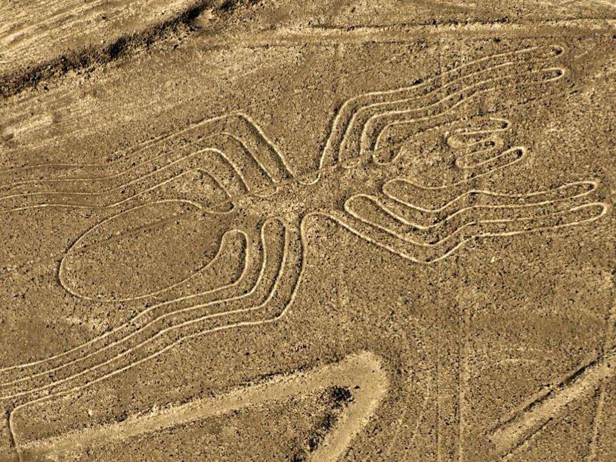 Historia el geoglifo de un felino descubierto en nasca 2