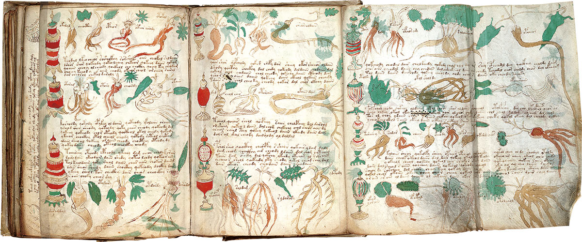 Cultura el manuscrito voynich el libro mas extrano del mundo 1