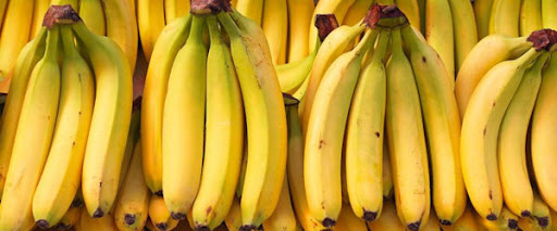 Investigacion el platano alimento milenario en el mediterraneo 2