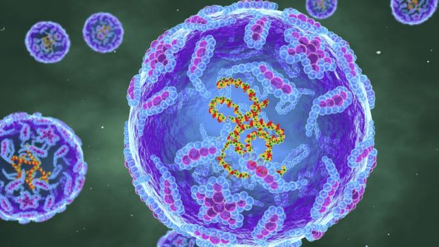 Sociedad el regreso del virus de la polio 3
