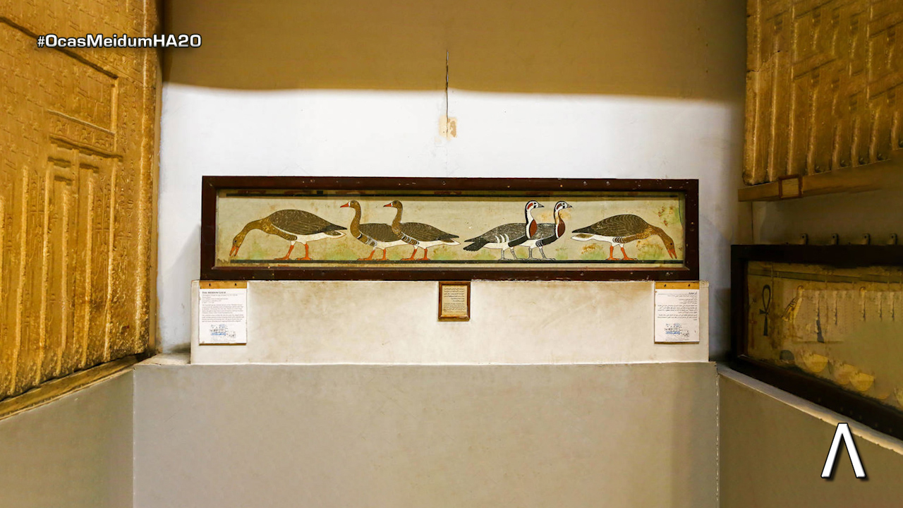 Historia gansos extintos en una pintura egipcia 4