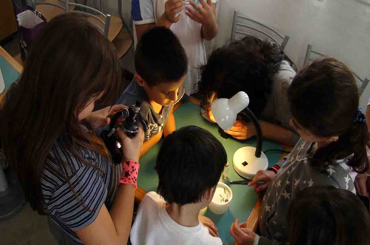 Sociedad educacion stem 1