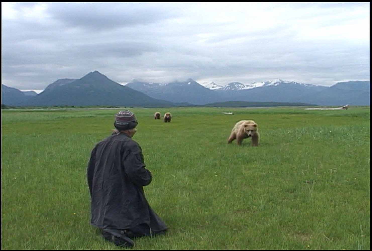 Naturaleza la historia de timothy treadwell 2