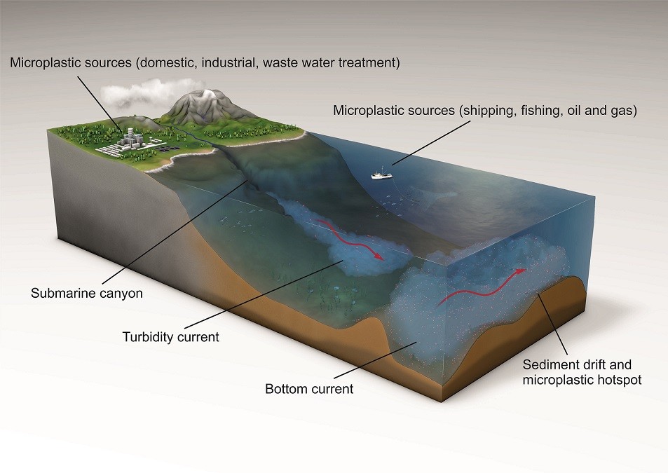 Investigacion la mayor concentracion de microplasticos 1