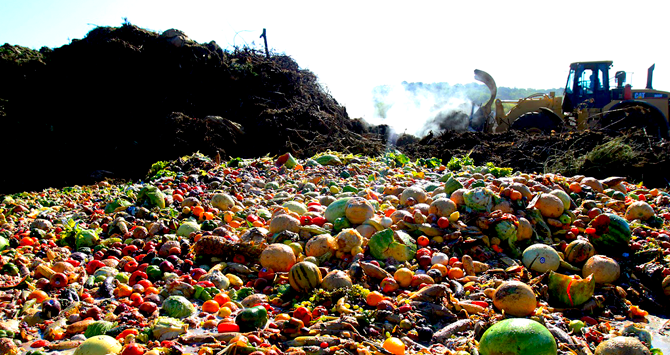 La quinta parte de los alimentos se desperdicia