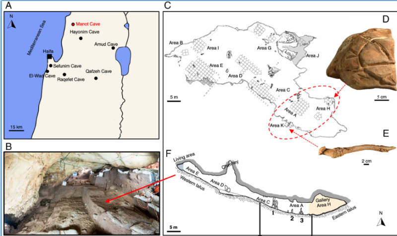 Historia la sala ritual de 35 000 anos 4