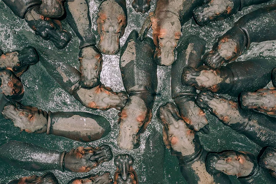 Ocio las 50 mejores fotografias hechas por drones del 2018 11