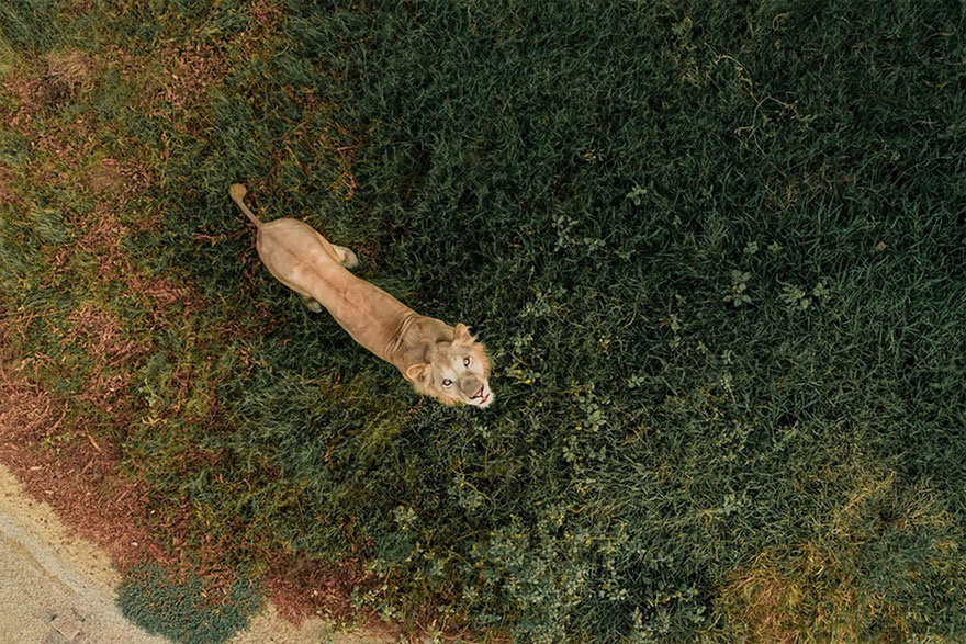 Ocio las 50 mejores fotografias hechas por drones del 2018 5