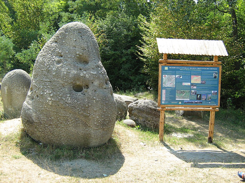 Naturaleza piedras que crecen 1