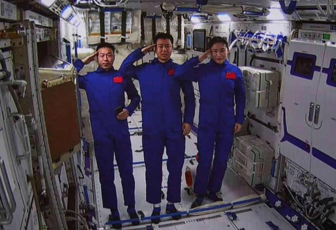 Investigacion las semillas de olivo del espacio 4