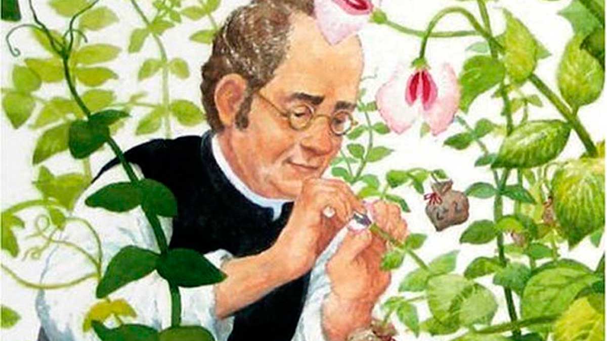 Historia mendel el padre de la genetica moderna 4