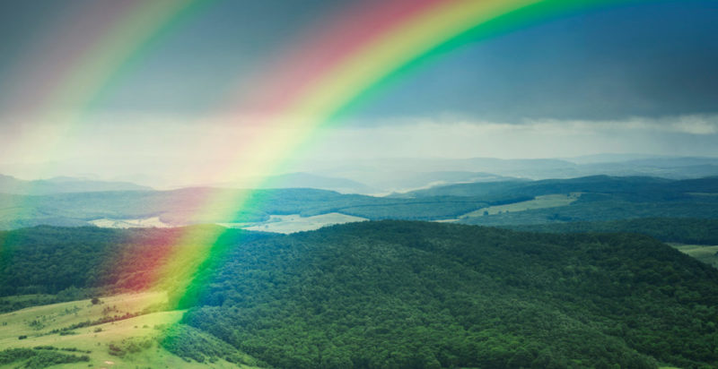 Curiosidades el dia mundial del arcoiris 1