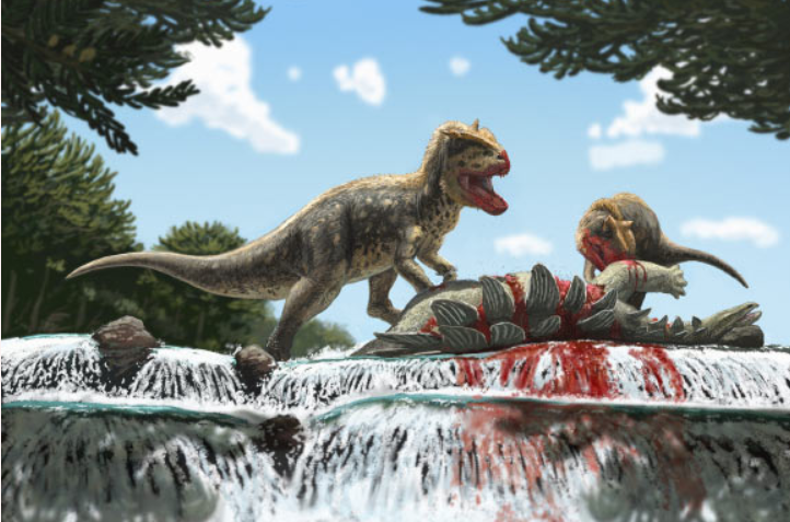 Investigacion el nuevo dinosaurio depredador 1