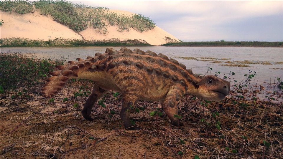 Investigacion el nuevo dinosaurio hallado en chile 2