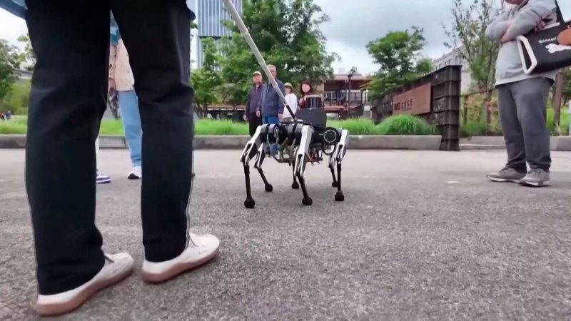 Tecnologia el perro robot que hace de lazarillo 1