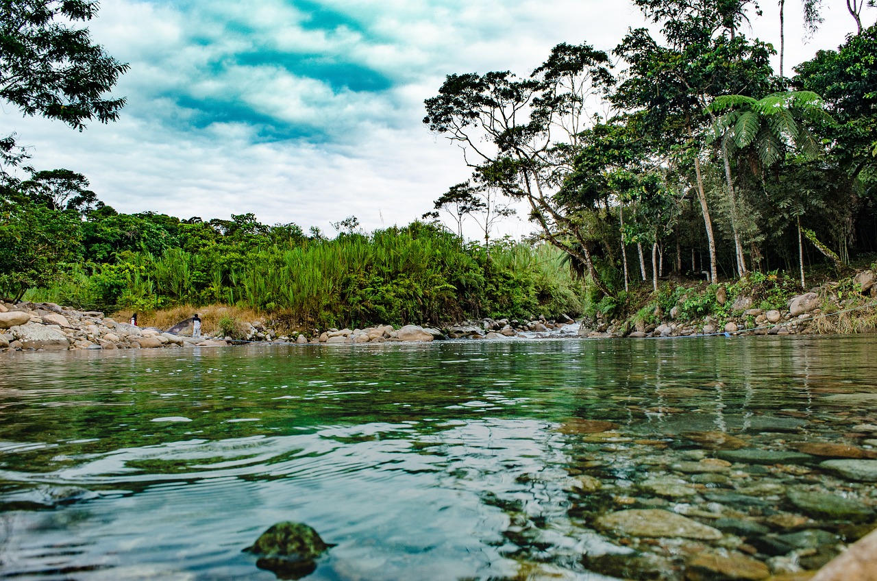 Naturaleza el rio amazonas es increible 1