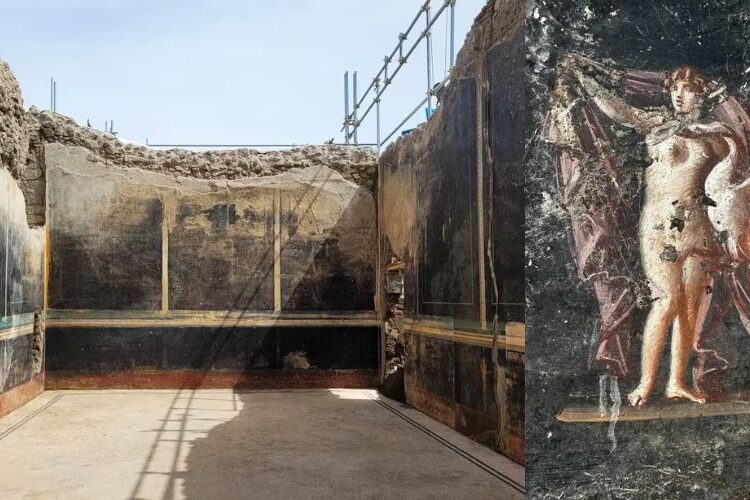 Investigacion el salon de banquetes de pompeya 2