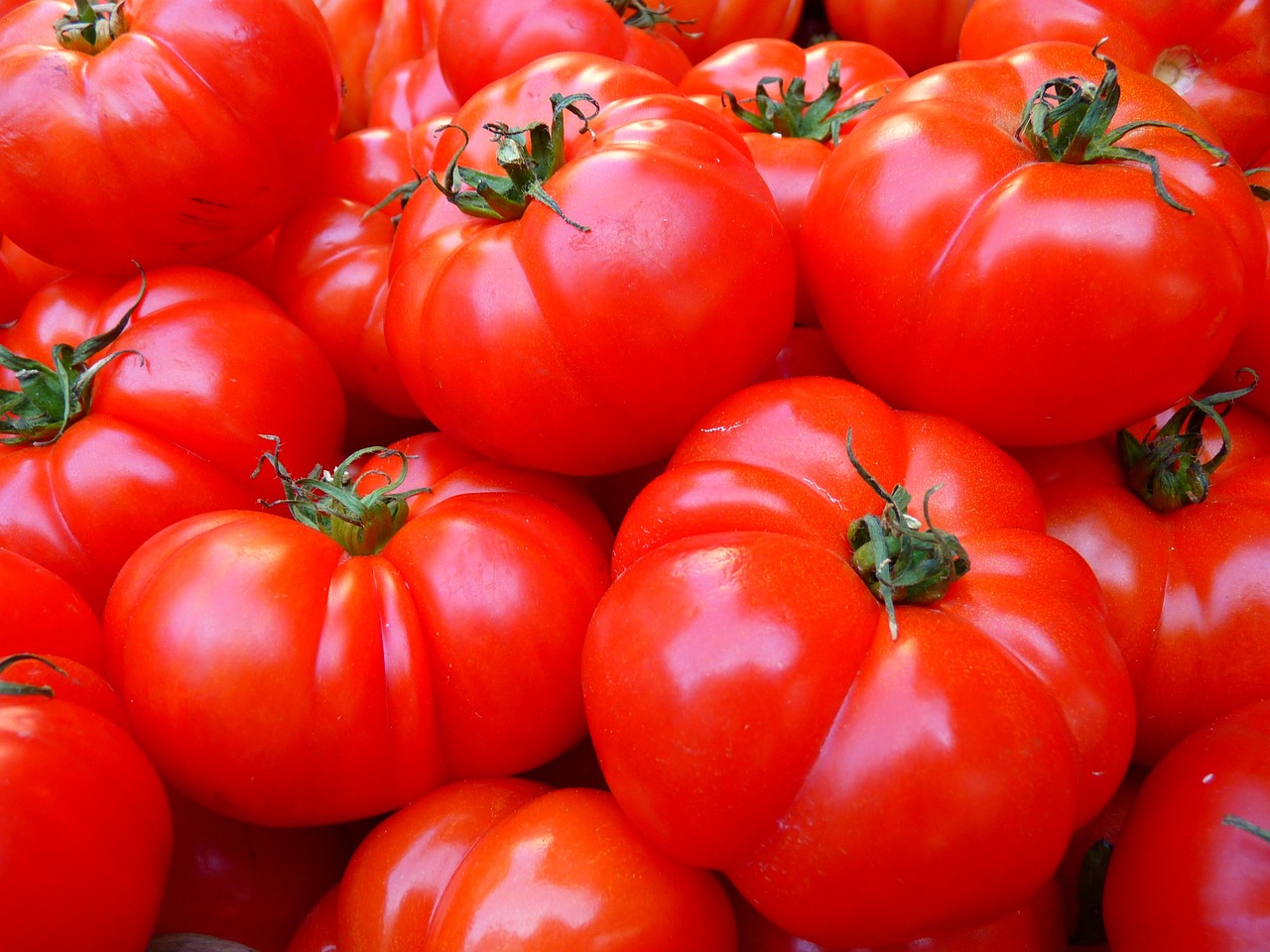 Naturaleza el tomate es un enigma es fruta o verdura 1