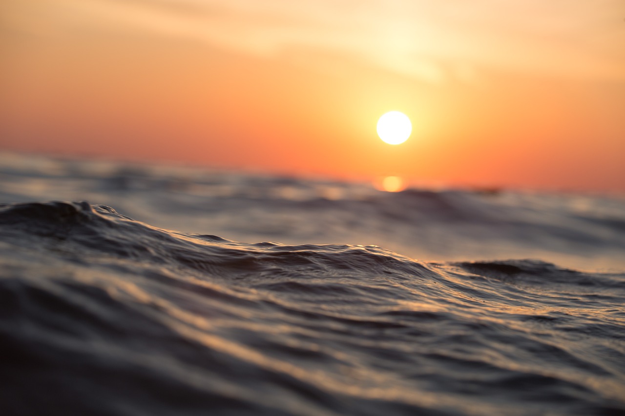 Naturaleza el tratado sobre los oceanos ya es un hecho 2