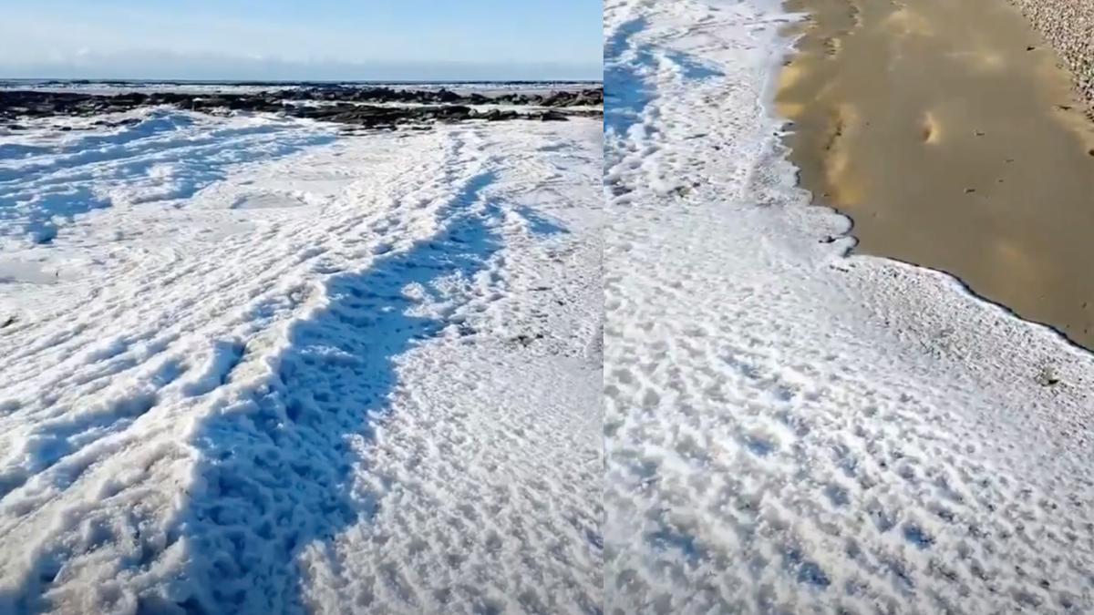 Naturaleza hielo marino en tierra del fuego por que se congelo el mar 1