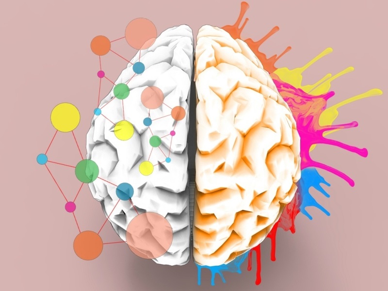 Investigacion la serotonina puede resolver conflictos 1