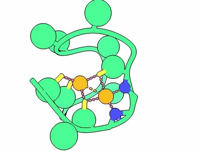 Investigacion la sustancia que pudo originar la vida 3