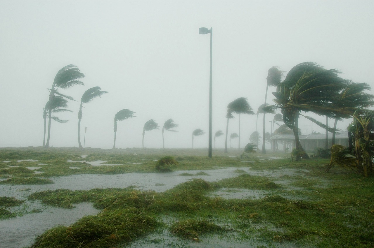 Naturaleza las temperaturas calidas del oceano fortalecen los huracanes 1