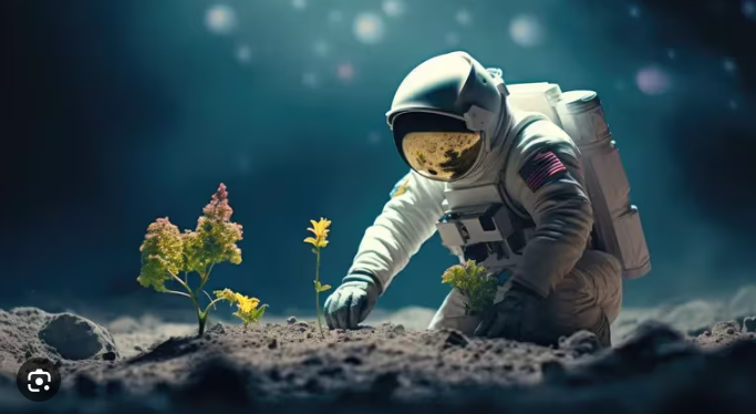 Investigacion llevaran plantas a la luna 1