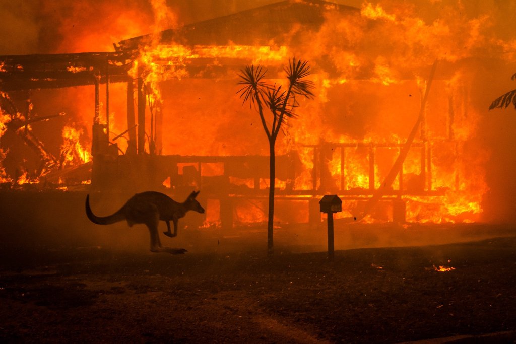 Sociedad los incendios de australia calentaron el planeta 1