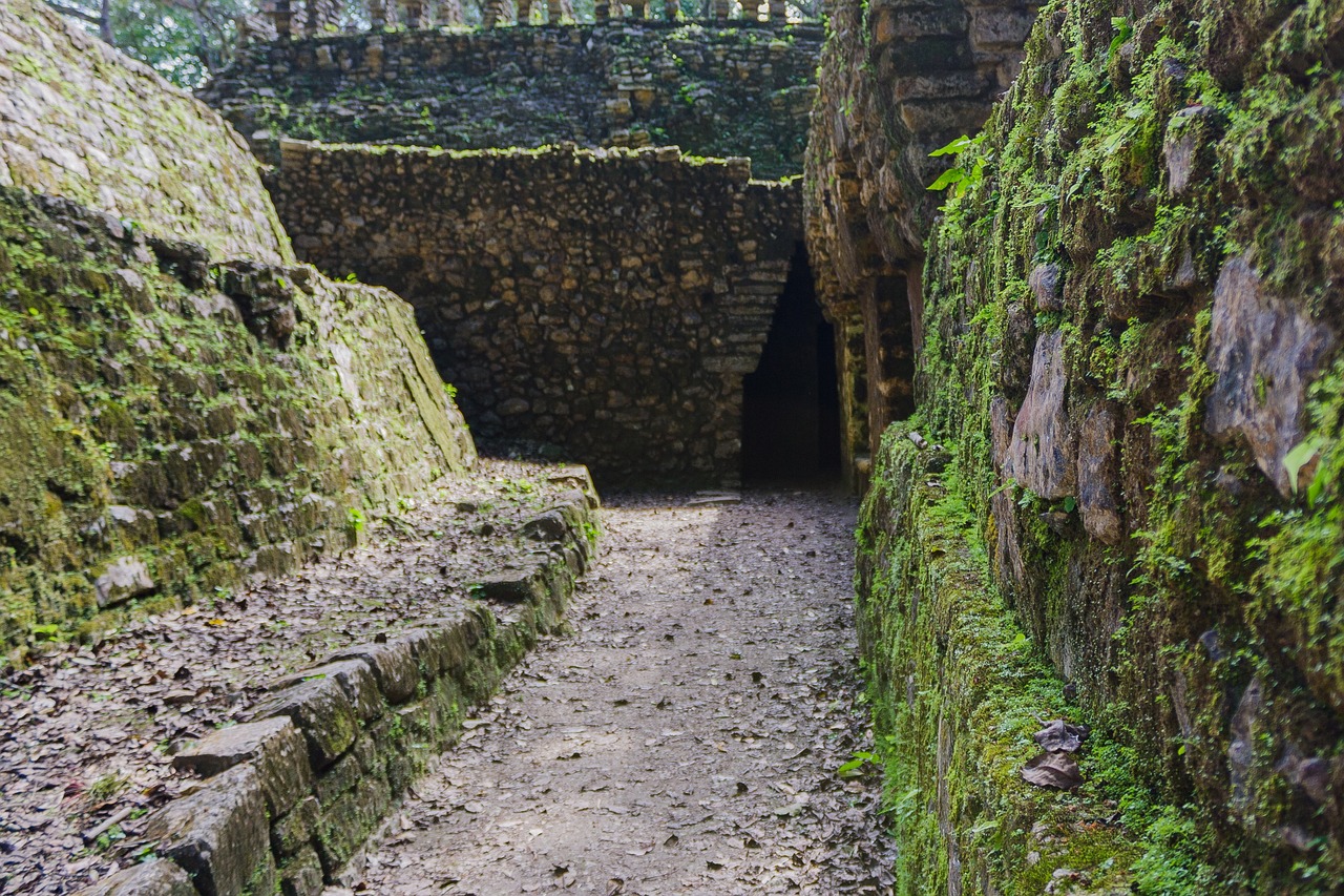 Ciencia los jardines artificiales de los mayas para obtener agua potable 1