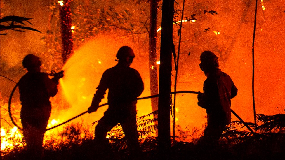 Cultura los misteriosos incendios zombis 3