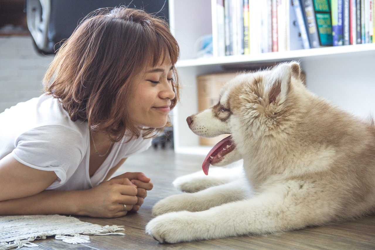 Curiosidades los perros prefieren las voces femeninas 2