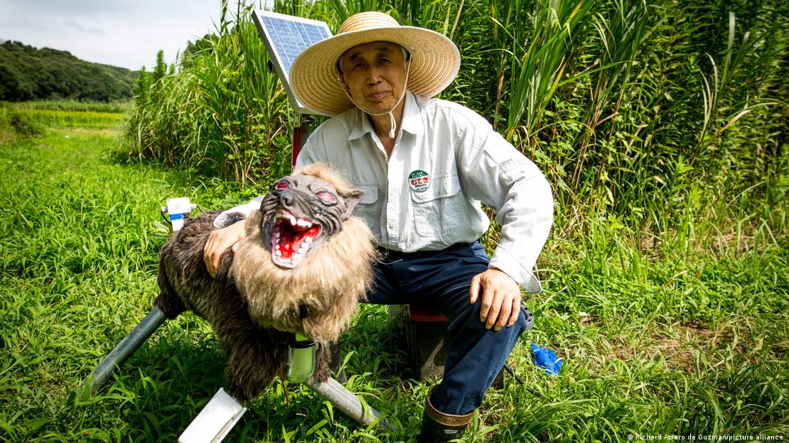 Tecnologia los robots lobos monstruosos de japon 3