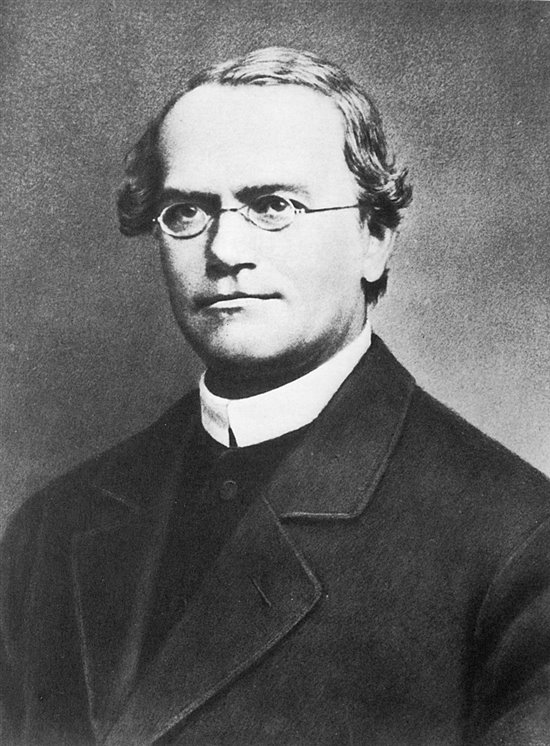 Historia mendel el padre de la genetica moderna 1